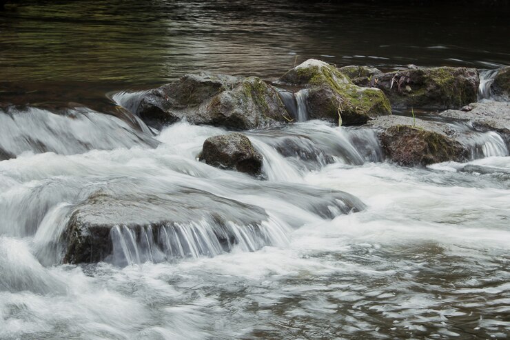 Diagnóstico de la calidad de las aguas fluviales mediante índices diatomológicos