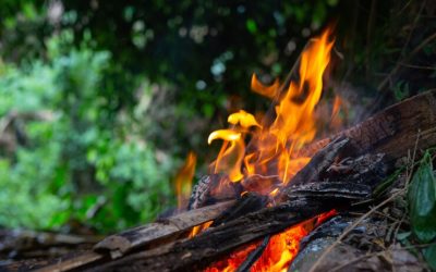 Gestión integral de incendios forestales: soluciones innovadoras basadas en la naturaleza y la tecnología