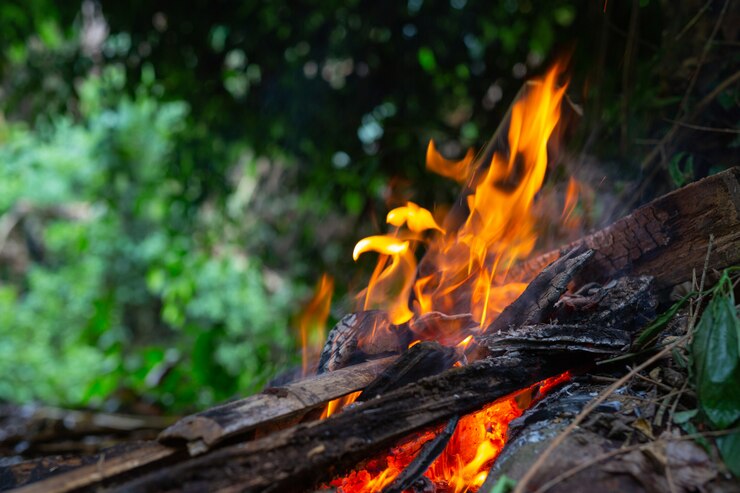 Gestión integral de incendios forestales: soluciones innovadoras basadas en la naturaleza y la tecnología