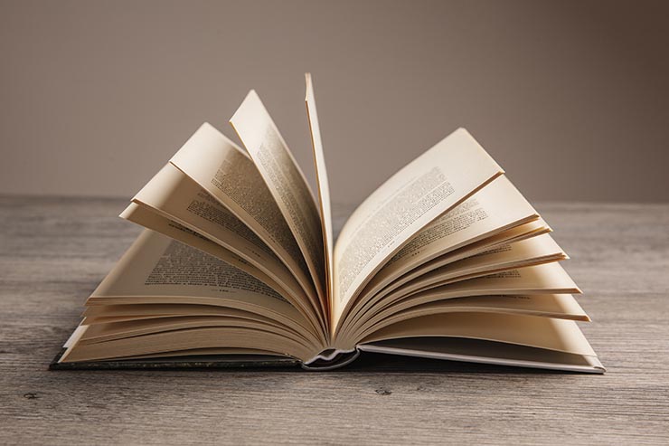 Territorios literarios en Antonio Pereira y en la creación hispánica contemporánea. Espacios con proyección crítica y enfoques en comunidades sostenibles